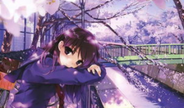 日本樱花动漫,绽放的青春与梦想